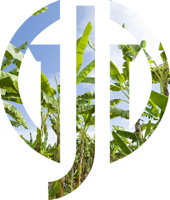 icon division agriculture