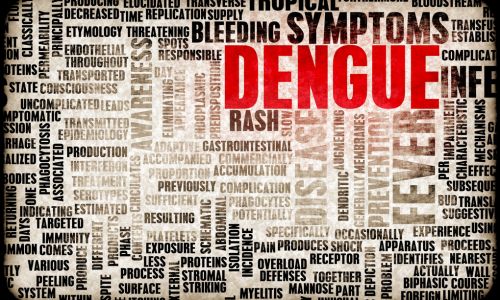 dengue symptômes