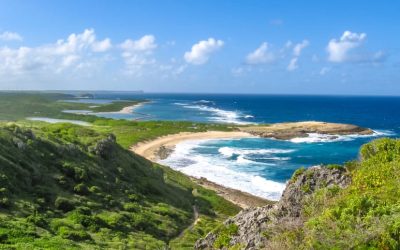 Les risques écologiques du littoral guadeloupéen